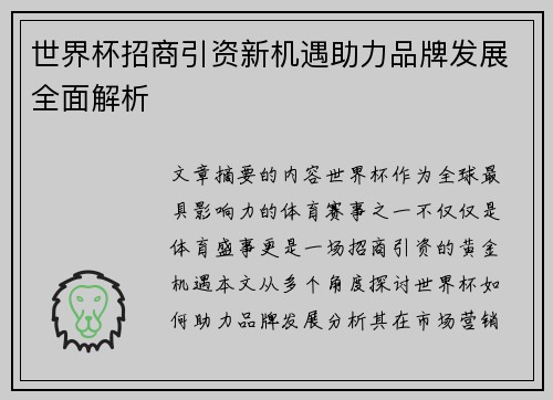 世界杯招商引资新机遇助力品牌发展全面解析